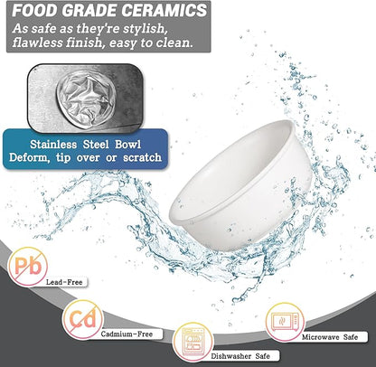 Ceramic Elevated Dog Bowl Set - Raised Food and Water Bowls with Metal Stand - Double Pet Dishes for Small and Medium Dogs - 2 Cups - 27 fl oz - Matte Whit