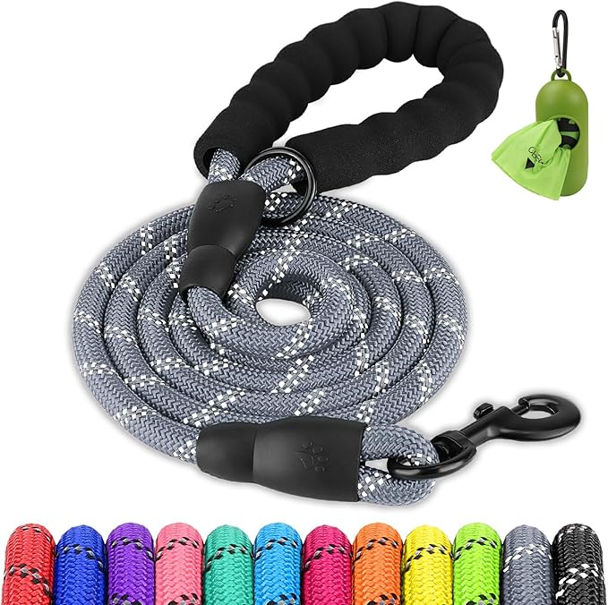 Joytale Dog Leash for Small Dogs, Heavy Duty Nylon Leashes with Comfortable Padded Handle and Highly Reflective Threads, Ideal for Walking and Training, Gray, 6'×3/8''