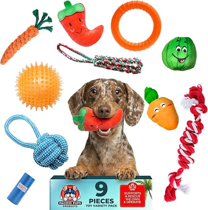 Pacific Pups Products 9-Pack Dog Toys for Small & Medium Dogs – Puppy Toys Set with Rope Toys, Chew Toys, Tug Toys, Plush & Squeaky Toys – Dog Toy Variety Pack
