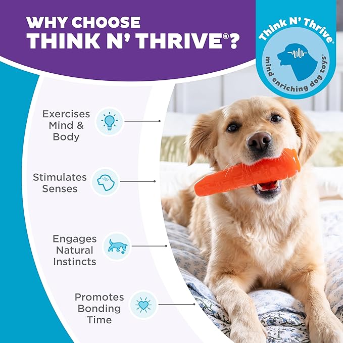 Outward Hound by Planet Dog Foodies Carrot Treat-Dispensing Dog Chew Toy, Orange