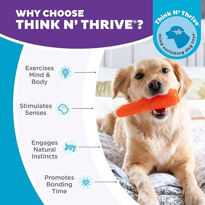 Outward Hound by Planet Dog Foodies Carrot Treat-Dispensing Dog Chew Toy, Orange