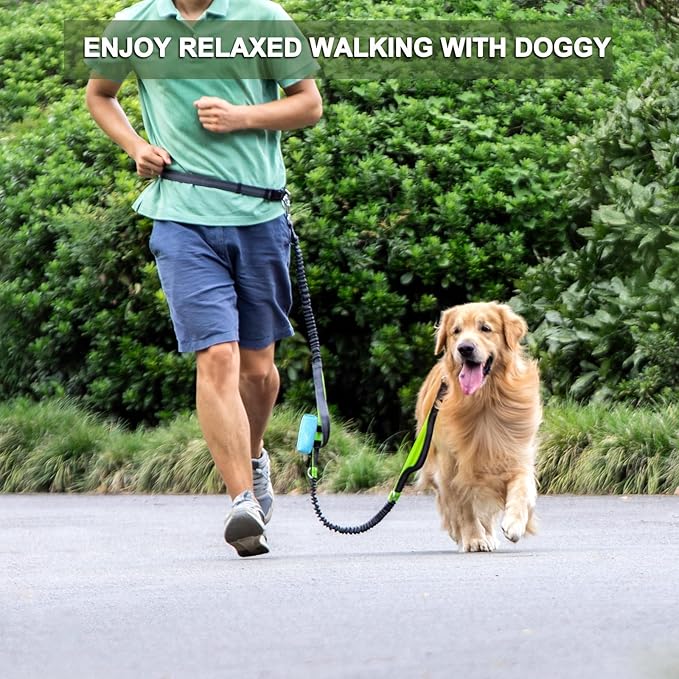 (2 Pack) Dog Poop Bag Holder for Leash Attachment with 80 Bags- Waterproof Dispenser with Carabiner, Hands-Free Design for Car Travel, Park Walk & Camping Trips, Fits All Leashes, Blue