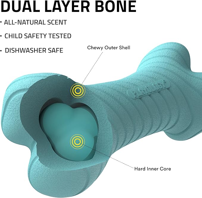 Playology Dog Toys | Rainbow of Scent Chew Toy Gift Box - Medium Dual Layer Bones for Dogs | Peanut Butter, Chicken, & Beef Scented Toys - Easy to Clean and Made from Non Toxic Materials