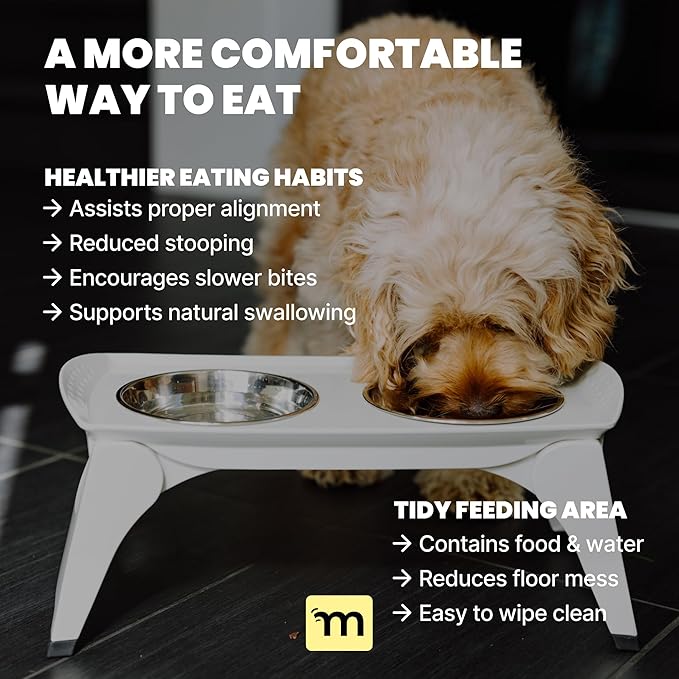 MalsiPree Elevated Dog Bowls - Puppy Adoption Gifts & Cute Puppy Accessories - Raised Feeding Station & Stainless Steel Bowls - Food and Bowls Set - Dog Birthday Gifts for Small Pets - White