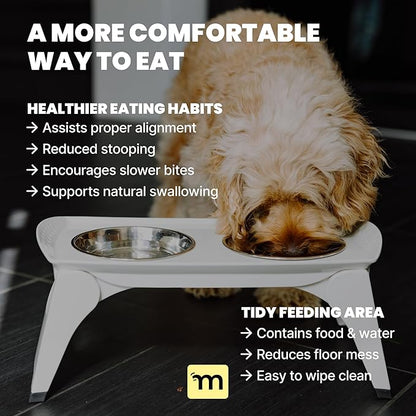MalsiPree Elevated Dog Bowls - Puppy Adoption Gifts & Cute Puppy Accessories - Raised Feeding Station & Stainless Steel Bowls - Food and Bowls Set - Dog Birthday Gifts for Small Pets - White