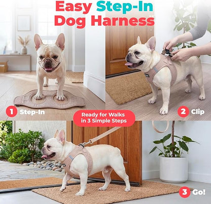 Best Pet Supplies Voyager Step-in Air Harness - All Weather Mesh, Reflective, No Pull Harness for Dogs, Cats - Secure with Hook & Loop Fastener, Buckle, Double D-Rings - Khaki, XXS