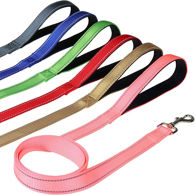 FunTags 6FT Reflective Dog Leash with Soft Padded Handle for Training,Walking Lead for Medium & Small Dogs,3/4 Inch Wide,Black