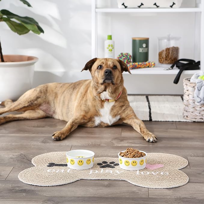 Bone Dry Ceramic Food Bowls, Non-Slip & Dishwasher Safe, Small Set, 4.25x2, Smiley Face, 2 Count