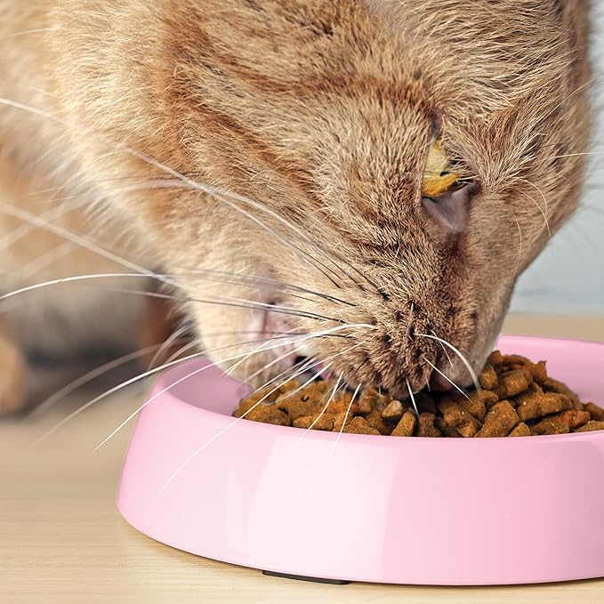 CatGuru Cat Bowls, Whisker Friendly Food Bowl for Indoor Cats, Reliefs Whisker Fatigue, Wide Kitten Dish, Non Slip Pet Dishes, Shallow Pet Plates (Pink, (Pack of 2))