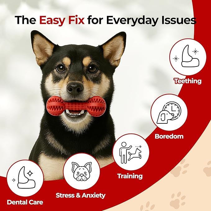 JAYU PET Toothbrush Toy Dog Chew Toy for Aggressive Chewers, Durable Dental Toy for Small & Medium Dogs, Teeth Cleaning Toy to Keep Them Busy, Remove Plaque & Tartar