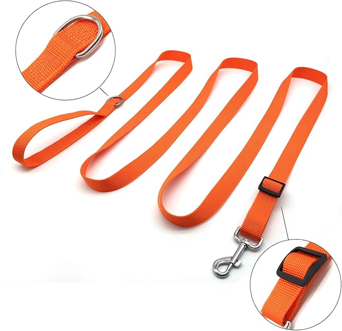 TAIAN Adjustable Nylon Dog Leash, 10 Foot Long Dog Leashes for Medium Large Dogs Orange