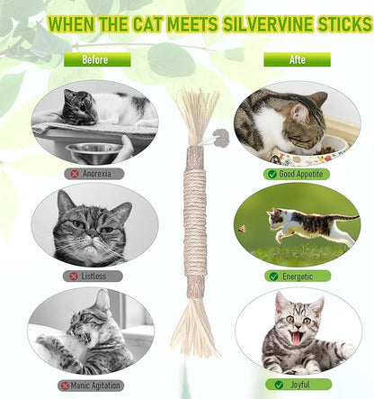 BAWAN Catnip Toys‖ Silvervine for Cats: Cute Cat & Kitten Toys for Indoor Cats Interactive‖ Cat & Kitten Teething Chew Toys for Aggressive Chewers‖ Silvervine Sticks Ca.t Dental Toy (3PCS)
