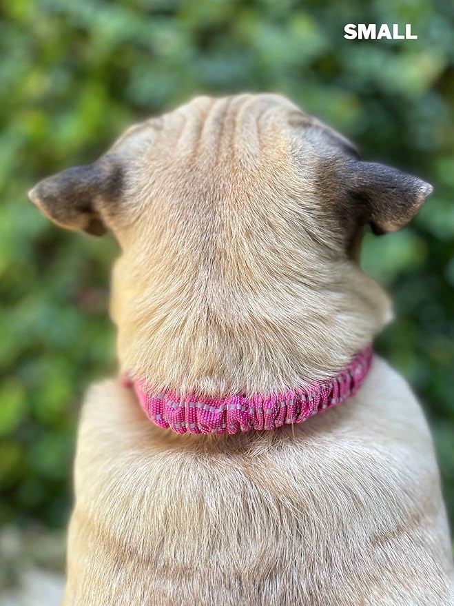 Tuff Pupper Heavy Duty Dog Collar with Handle | Ballistic Nylon Heavy Duty Collar | Padded Reflective Dog Collar with Adjustable Stainless Steel Hardware | Convenient Sizing for All Breeds
