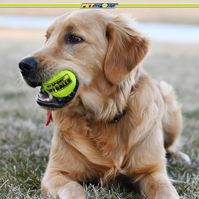 PetSport Yellow Tuff Ball - Medium Tennis Balls for Dogs, Chew Toy for Aggressive Chewers, Fetching, Natural Rubber, Certified Non-Toxic - 2.5 Inch Each (Pack of 6)