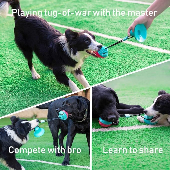 Dog Toys to Keep Them Busy for Boredom,Interactive Dog Toys Tug of War, Mentally Stimulating Toys for Dog, Puppy Teething Puzzle Treat Food Dispensing Ball Toy for Small Medium Dogs