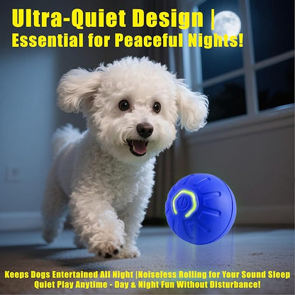 BIONEMAGILI Interactive Self-Moving Pet Toy Ball - Motion-Activated Auto Rolling, Military-Grade Chew Resistant, USB-C Rechargeable for Small Dogs & Cats (Orange, Small1