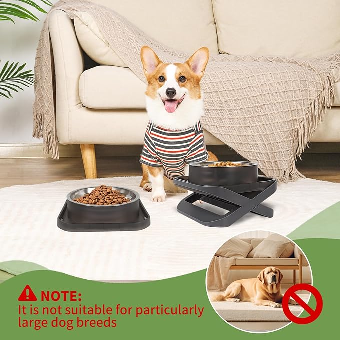 Raised Dog Bowls for Small & Medium Dogs, Adjustable Elevated Stainless Steel Food or Water Bowl, No Spill Non-Slip Dog Feeder Stand for Pets