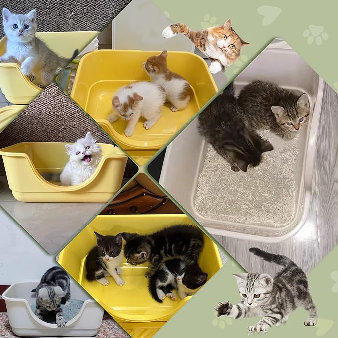 2 Pack Low Entry Small Litter Box for Kittens, Kitty Plastic Litter Boxes, Open Top, Anti-Splash High Sided Litter Tray Pan for Medium Pets, Puppy, Easy to Clean, 15.7"L*11.8"W*6.7"H (Green)