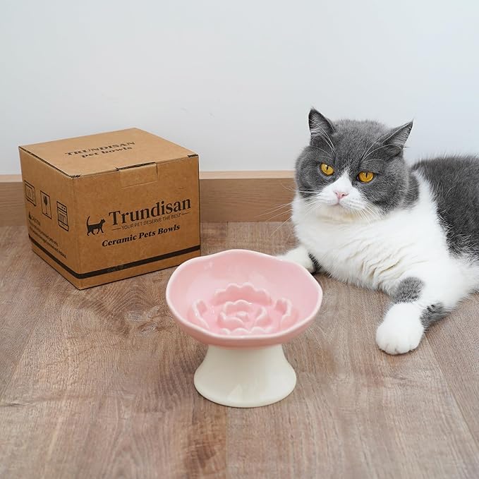Ceramic Slow Feeder Bowl for Cats and Small Dogs, Elevated Tilted Pet Food Dish, Whisker Friendly Anti-Vomit Design, Heavy Stable Base, Dishwasher Safe， 5 Colors Options (Blush Pink)