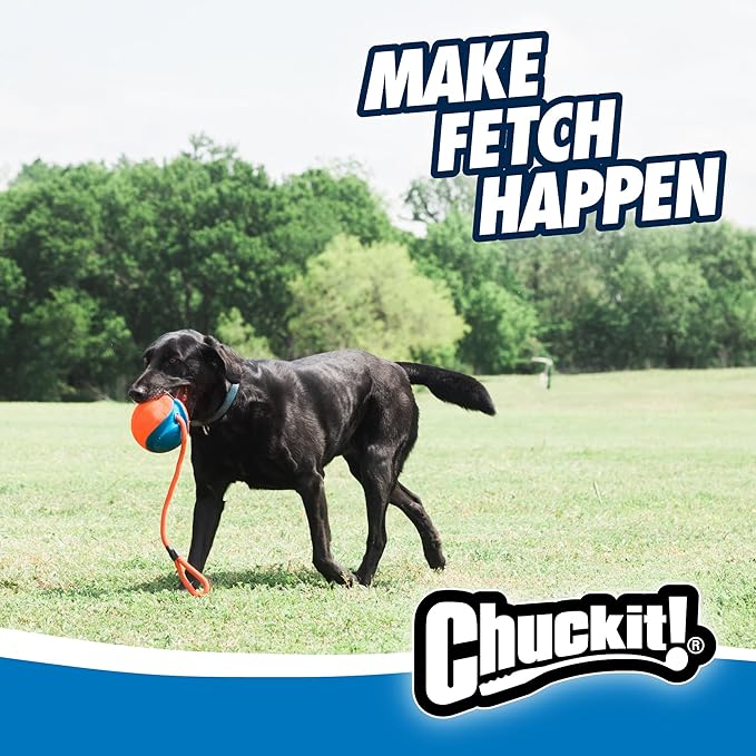 Chuckit! Rope Fetch Dog Toy - Ball on Rope Fetch and Tug-of-War Toy for Dogs - Durable EVA Rubber Construction - 5.5-inch Diameter - 18-inch Rοpe - Orange and Blue