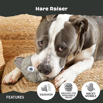 Barkbox Super Chewer Tough Dog Chew Toys for Aggressive Chewers, Plush 2 Toys in 1 (Hare Raiser - Large)
