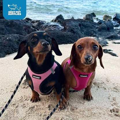 Best Pet Supplies Voyager Step-in Air Harness - All Weather Mesh, Reflective, No Pull Harness for Dogs, Cats - Secure with Hook & Loop Fastener, Buckle, Double D-Rings - Fuchsia, XXS