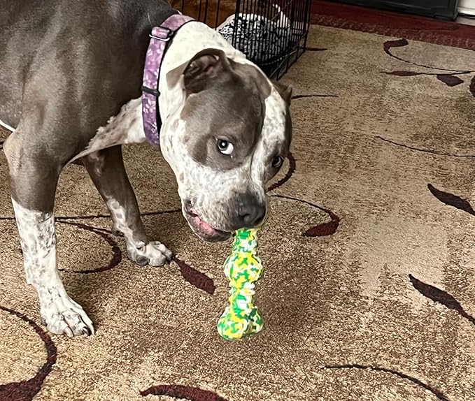 Dog Chew Toys for Aggressive Chewers, Safe Bamboo Fiber & Nature Rubber-Partially Degradable,Teething Cleaning Toys for Small Medium Large Dog Breeds Green L