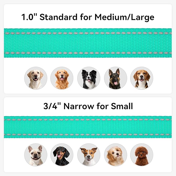 Joytale Dog Leash, 4 FT Double-Sided Reflective, Padded Handle Nylon Heavy Duty Leashes for Small Dogs Walking, Teal