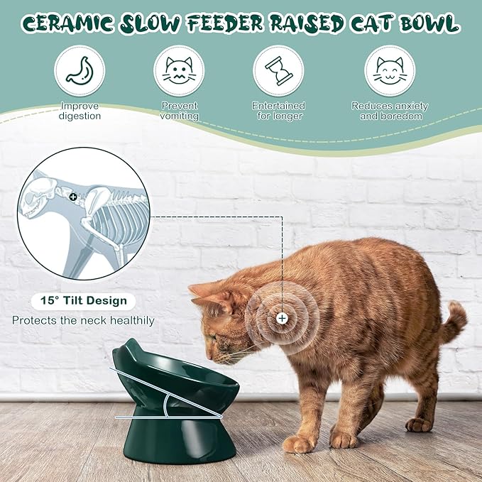 2 Pcs Ceramic Raised Slow Feeder Cat Bowl, 5.91inch Elevated Cat Slow Feeder Bowl Tilted Anti Vomiting for Dry Wet Food and Water Easy to Clean High Edge(Dark Green)