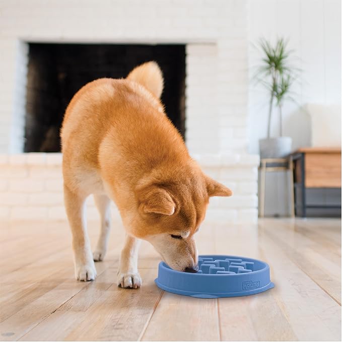Outward Hound Fun Feeder Slo Bowl – Medium 2‑Cup Capacity, Slow Feeding, Small to Medium Dogs & Cats, Non-Slip, Blue, Notch Pattern