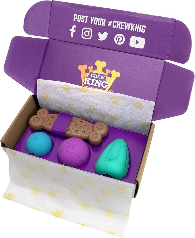 Chew King by Mammoth Dog Box Large- Durable Fetch Balls, Treater and Chewing Toy Collection, Teal (CM-10100-CS01)