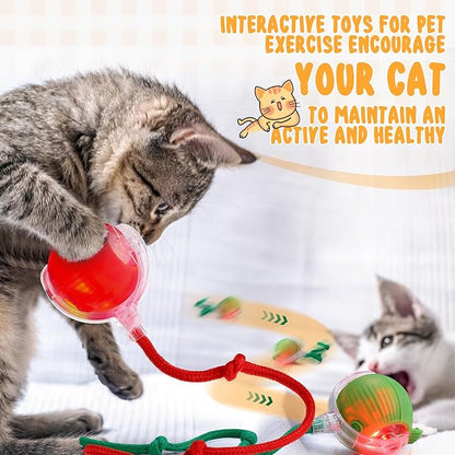 6 Pack Interactive Cat Ball Toy 360° Automatic New Interactive Rolling Ball Rechargeable Gifts for Cat Dog Lovers Indoor Exercise Electric Self Rolling Toy Large and Small Puppy Kitten Bulk