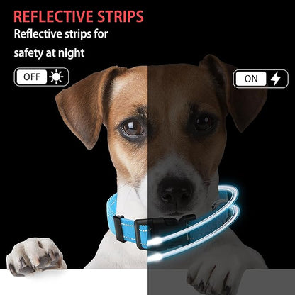 Reflective Dog Collar with Safety Locking Buckle, Adjustable Soft Breathable Nylon Collars for Small, Medium and Large Dogs(Collar+Leash XS Width 3/8" Sky Blue)