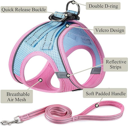 Dog Harness with Leash Set, No Pull Adjustable Reflective Step-in Puppy Pet Vest Harnesses for Small Medium Large Dogs and Cats,Pink Green XXS