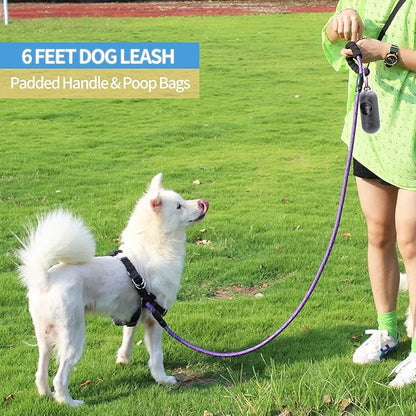 BAAPET 2/4/5/6 FT Dog Leash with Comfortable Padded Handle and Highly Reflective Threads for Small Medium and Large Dogs (6FT-1/2'', Purple)