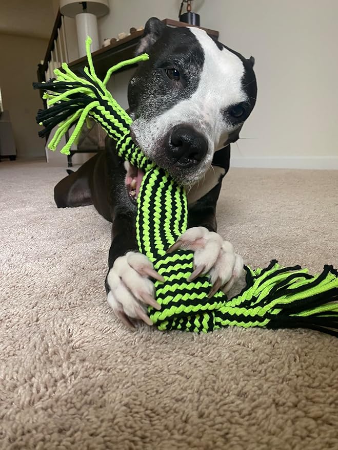 Jolly Pet Knot-N-Chew 2 Squeaker Green/Black Small/Medium