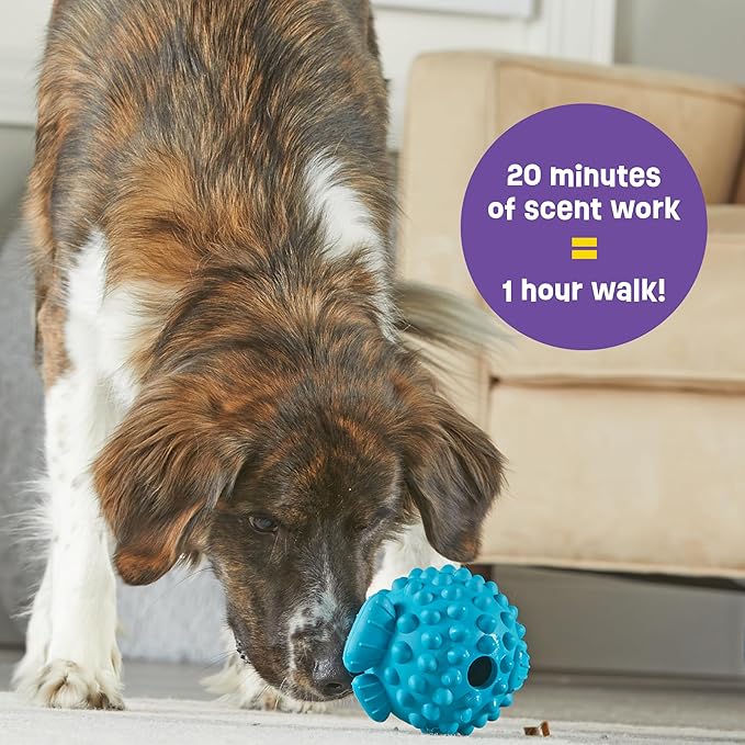 Brightkins Tough & Tumble Treats Dispenser Large Pufferfish - Interactive Dog Puzzle Toy for All Breeds, Enrichment Gifts for Puppies