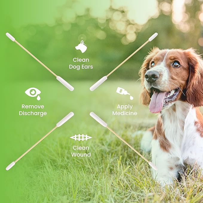 We Love Doodles Long Cotton Dog Ear Swabs | Double Sided Cotton Swabs for Dogs | Large Wooden Cleaner Balls Tool | Swabs to Flush Puppy Ears | Clean Wood Buds for Pet Ears | Wipes Solution Swabs