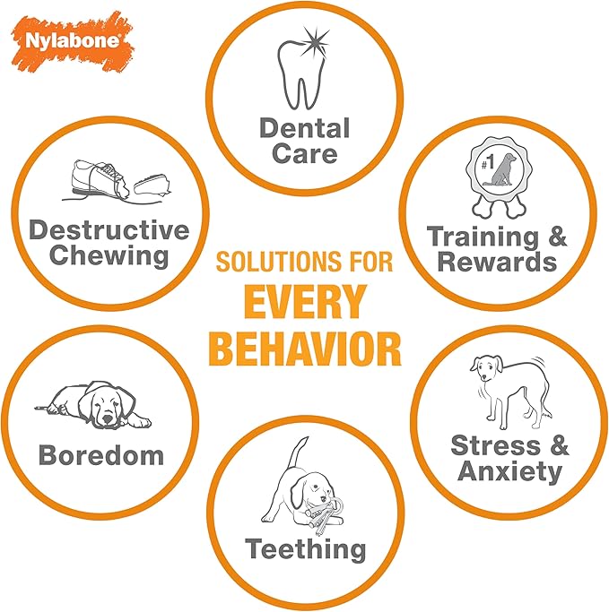 Nylabone Power Chew Dental Dinosaur - Dental Dog Toy for Aggressive Chewers - Large Dog Chew Toys for Teeth Cleaning - Durable Dog Toy for Large Breeds - Chicken Flavor, Large, Up to 50 Ibs. (1 Count)