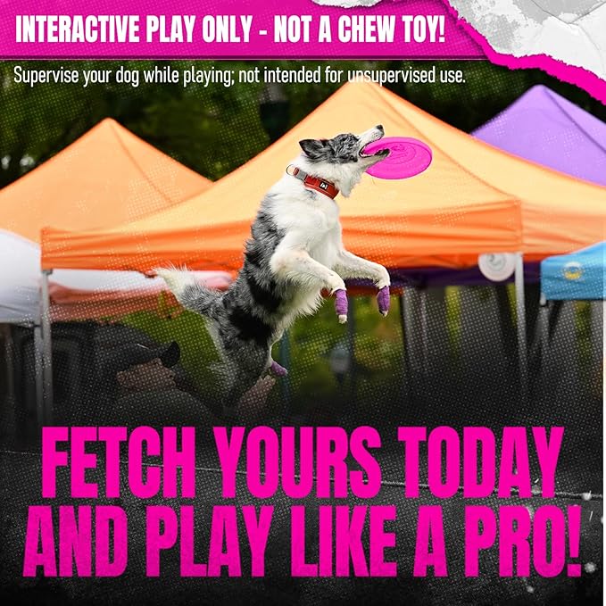 Hyperflite Macro Competition Standard Dog Disc 5" (28g) | Ultimate Flying Disc for Dogs | Official Skyhoundz Competition Disc for Play, Fetch & Pool Fun | Floats | Lightweight | Anti-Glare - Pink