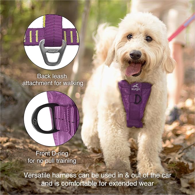 Kurgo Enhanced Strength Tru-Fit Dog Car Harness - Pet Travel Safety Harness - Crash Test Certified Fit - Five Point Adjustment - Secure Buckle - Padded Chest - Deep Violet - Small