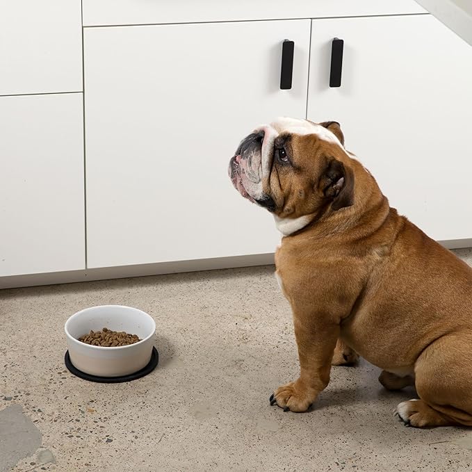 Waggo Habit Silicone Dog Placemat – Set of 2 Modern Heavyweight Silicone Dog Food Mats, Dishwasher Safe, Non-Slip, Solid Color – White (Large, 9")