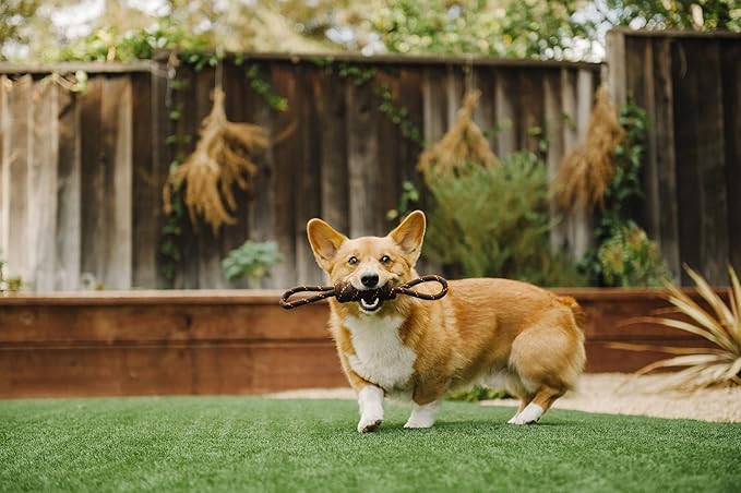 P.L.A.Y. Cute Outdoor Dog Toys - Scout & About Tug Rope Chew Toy, Great for Puppies & Small, Medium, Large Dogs - Machine Washable, Ultra-Durable, Good for Agility Training, Tugging, Fetch (Small)