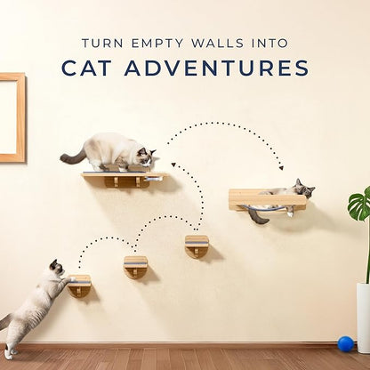 Space-Saving Cat Wall Shelves – Interactive Cat Wall Climber with Hammock & Dog Proof Feeding Station for Small & Medium Indoor Breeds – Solid Natural Wood with Gray Carpet