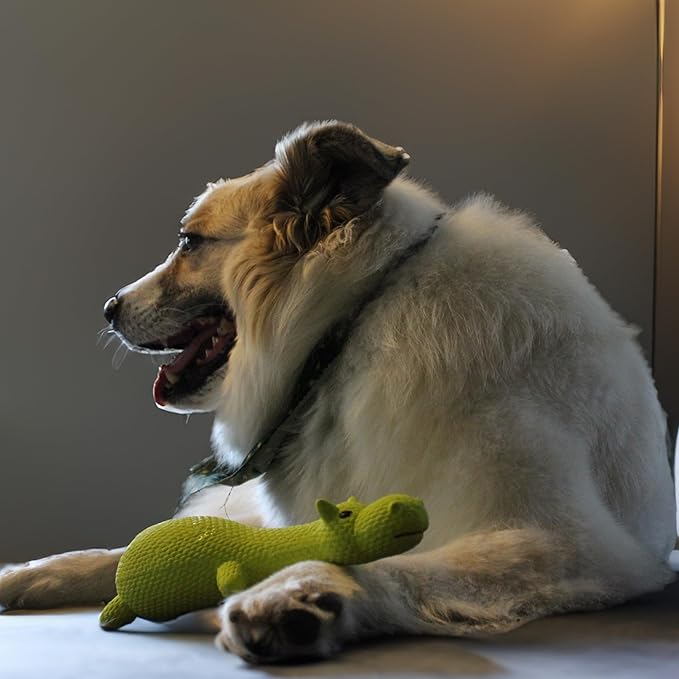 SPOT Latex Friends Dog Toys -Soft & Stuffing-Free with Honking Squeaker, 100% Latex, Brightly Colored, Ideal for Small/Medium Dogs & Light Chewers, 9-inch Assorted Styles