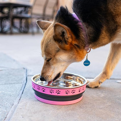 Loving Pets Corsa Dog Bowls- Stainless Steel Dog & Cat Bowls - Spill Proof Dog Food Bowl, Cat Bowl, Puppy Essentials & Pet Supplies Great for Home & Travel (Medium 20-35 lbs, Fiery Pink)