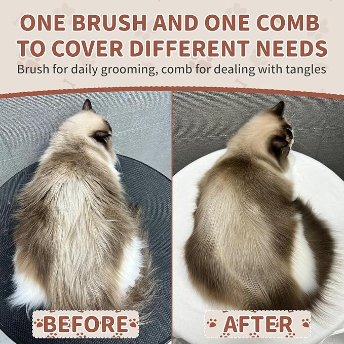 Wooden Cat Brush and Comb, Cat Hair Brush with Nautral Boar Bristle for Reduce Shedding and Keep Healty Shine, Daily Pet Grooming Tool for Dogs & Cats