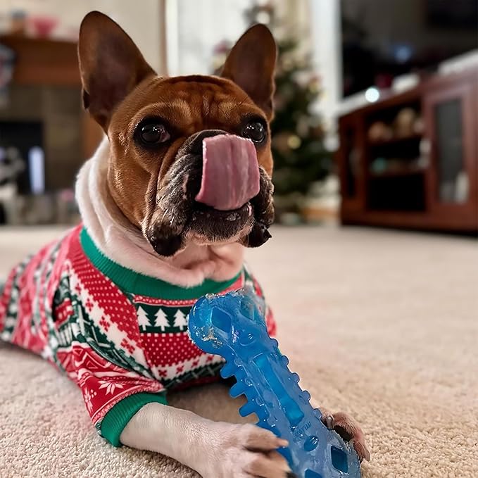 Nylabone Flexi Chill & Chew Toy for Dogs with Treat Pockets, Dog Toys for Moderate Chewers, Chicken Flavor, Medium - Up to 35 lbs, 1 Count
