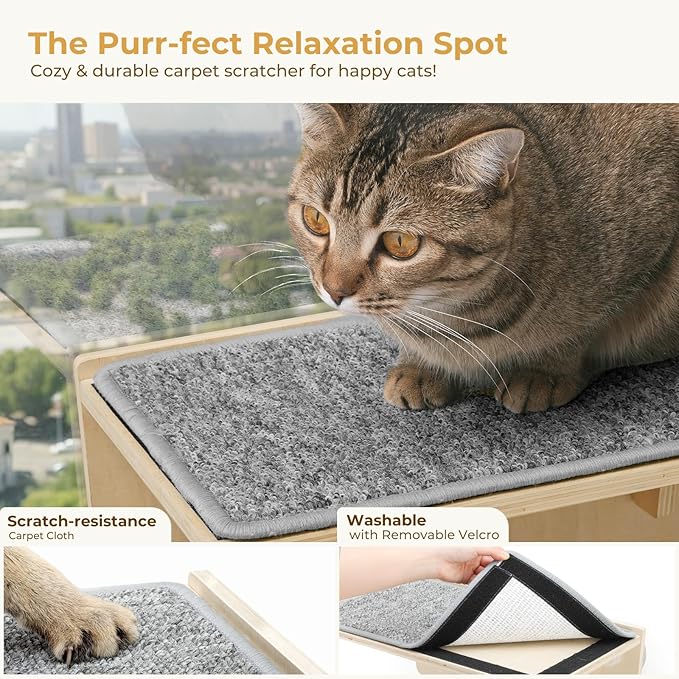 Pecute 2-in-1 Cat Window Perch & Wall Shelves - Sturdy Solid Wood Frame, 4 Large Rotating Suction Cups, Washable Carpet Cloth Cover, Space-Saving Indoor Cat Hammock Bed for Kittens Inside, 12"x10"