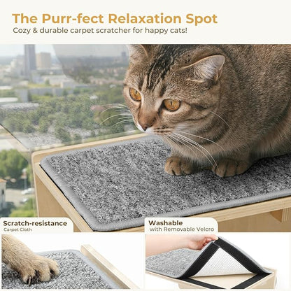 Pecute 2-in-1 Cat Window Perch & Wall Shelves - Sturdy Solid Wood Frame, 4 Large Rotating Suction Cups, Washable Carpet Cloth Cover, Space-Saving Indoor Cat Hammock Bed for Kittens Inside, 12"x10"